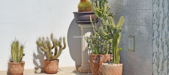 Villa de 4 dormitorios en Adeje, Spain No. 65339 12