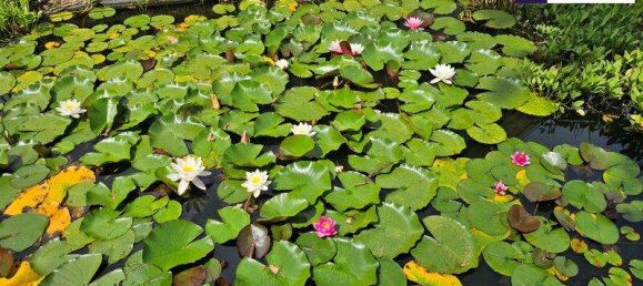 Villa de 7 divisões em Graz, Austria N.º 206882 16