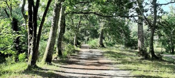 1 bedroom Apartment in Le Teich, France No. 350814 10