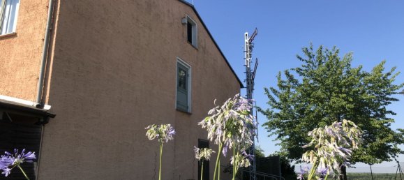 Здание с 10 комнатами в Лейпциг, Германия № 212116 15