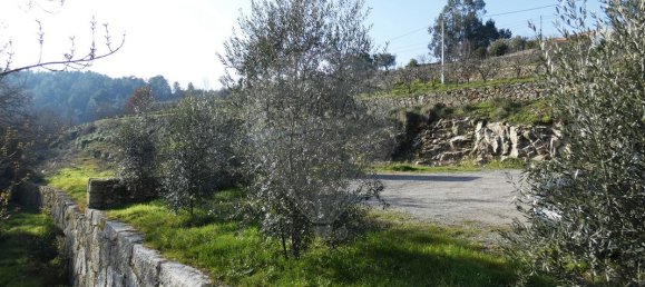 9 Schlafzimmer Haus in Tarouca, Portugal, Nr. 91094 17