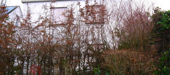 Adosado de 6 habitaciónes en Hoxter, Germany No. 226073 5