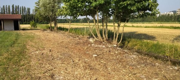 قطعة أرض في Monselice, Italy 4399متر مربع رقم 107168 7