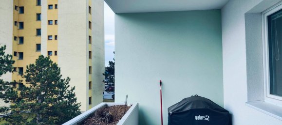 3 rooms Apartment in Felixdorf, Austria No. 232578 18