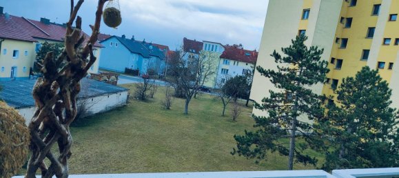 3 rooms Apartment in Felixdorf, Austria No. 232578 17