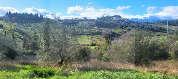 Земельный участок с 5 комнатами в Спольторе, Италия № 29342 5