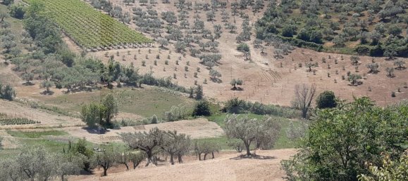 Земельный участок с 5 комнатами в Спольторе, Италия № 29342 3