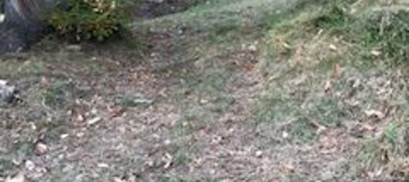 3 rooms House in Badalucco, Italy No. 254284 5