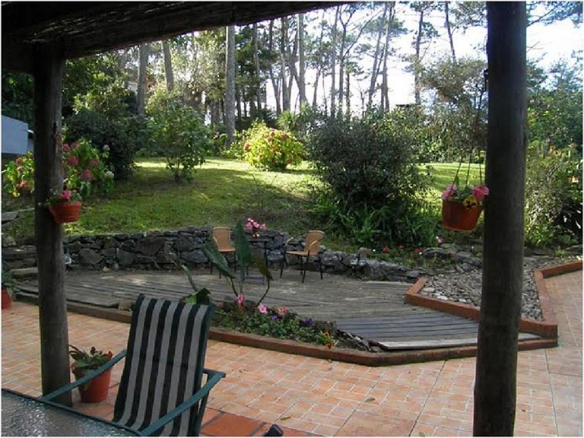 3 bedrooms House in Maldonado, Uruguay No. 8711
