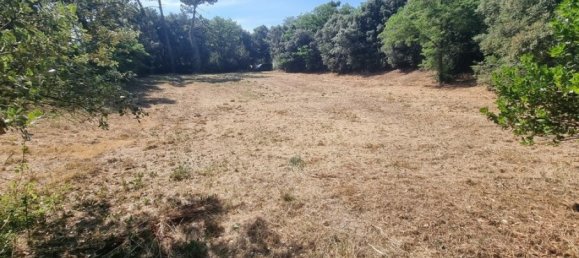 Terreno en Saint-Georges-d'Oleron, France 3058 m² No. 326483 2