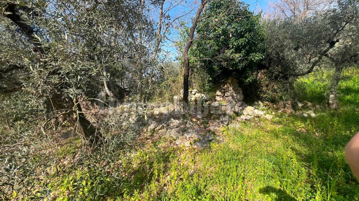 2 chambres Maison à Fondi, Italy No. 173596