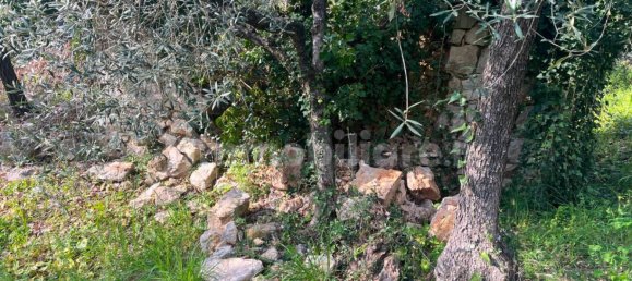 2 chambres Maison à Fondi, Italy No. 173596 4