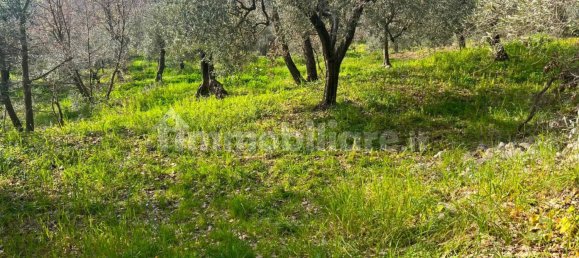 2 chambres Maison à Fondi, Italy No. 173596 7
