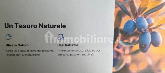 2 chambres Maison à Fondi, Italy No. 173596 8