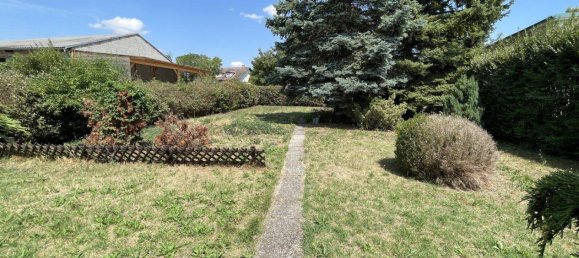 7 rooms House in Frauenkirchen, Austria No. 214660 2