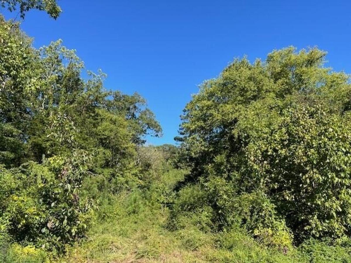 Grundstück in Summerville, USA, Nr. 476239