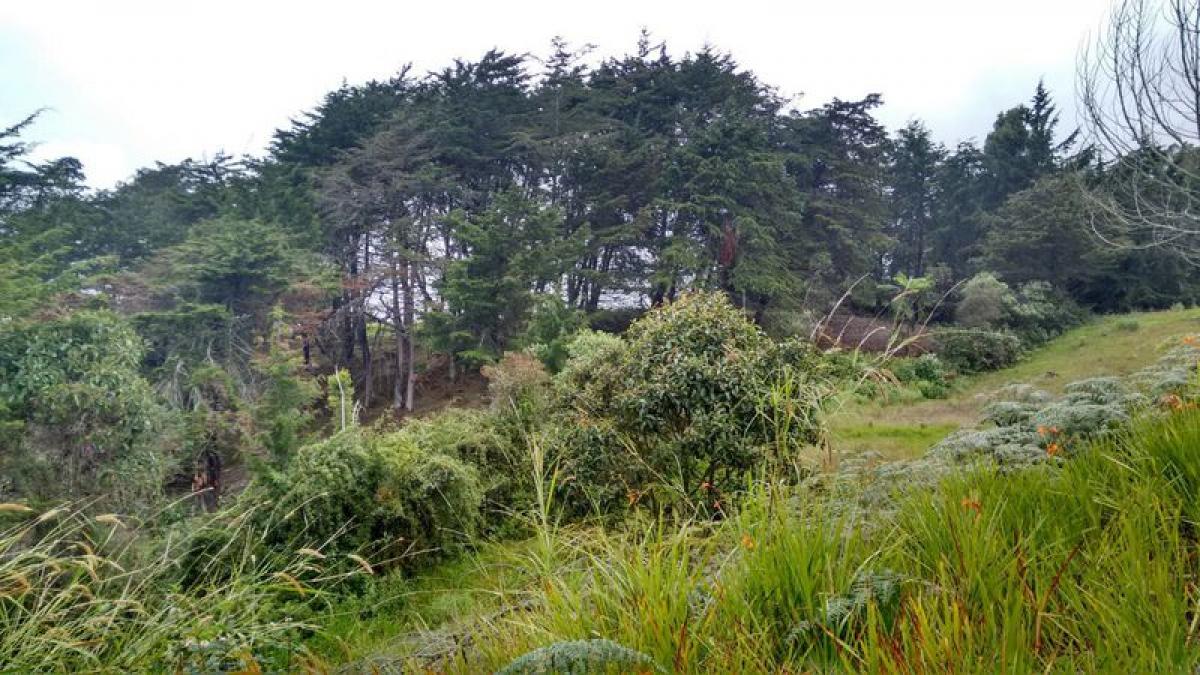 Grundstück in Antioquia, Colombia, Nr. 519