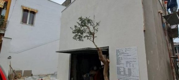 3 rooms Apartment in Marigliano, Italy No. 83081 10