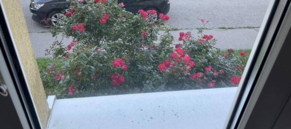 2 rooms Apartment in St. Polten, Austria No. 207883 13