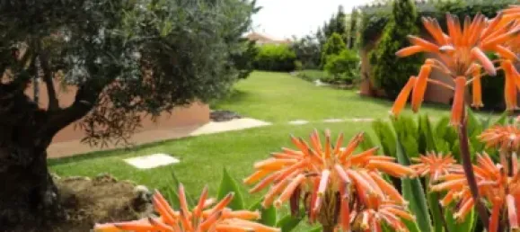 4 bedrooms Villa in Estepona, Spain No. 116113 2