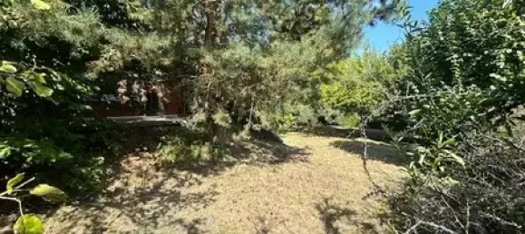 Casa de 5 divisões em Rhon-Grabfeld, Germany N.º 159132 6