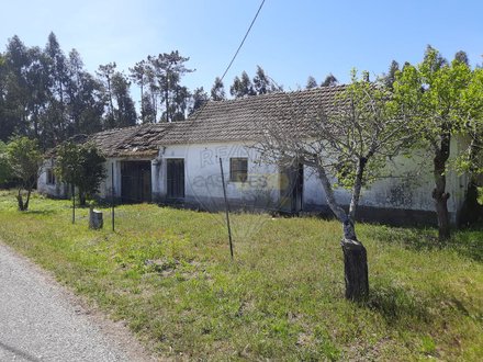 4 Schlafzimmer Haus in Pombal, Portugal, Nr. 183760