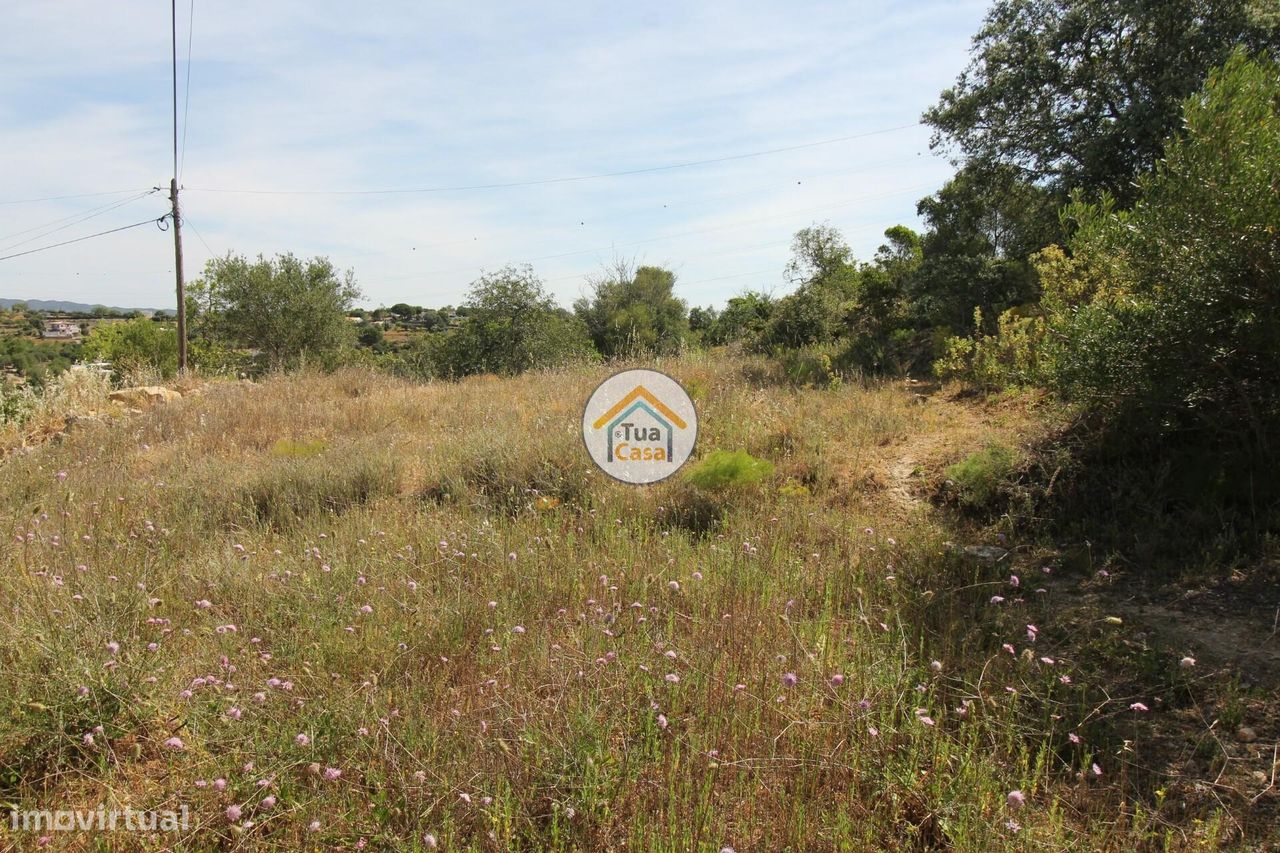 3160m² Land in Faro, Portugal No. 74528