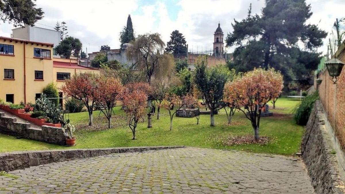  Land in San Buenaventura, Mexico No. 204530