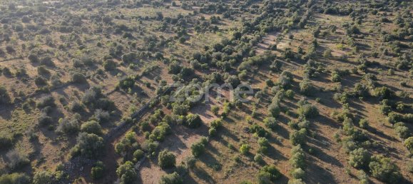 5620m² Land in Sao Bartolomeu de Messines, Portugal No. 44812 14