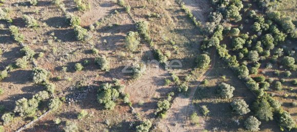 5620m² Land in Sao Bartolomeu de Messines, Portugal No. 44812 20