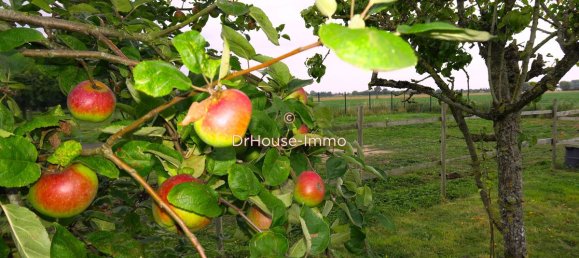 5 Schlafzimmer Haus in Laventie, France, Nr. 40549 4