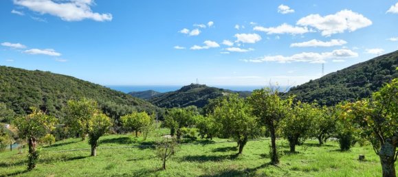 2 bedrooms Villa in Estepona, Spain No. 2867 22