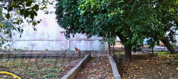 640m² Commercial property in Latiano, Italy No. 185670 40