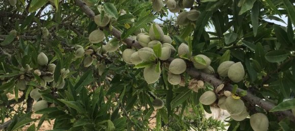 10-salle Villa à Ostuni, Italy No. 124394 2