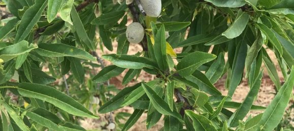 10-salle Villa à Ostuni, Italy No. 124394 46