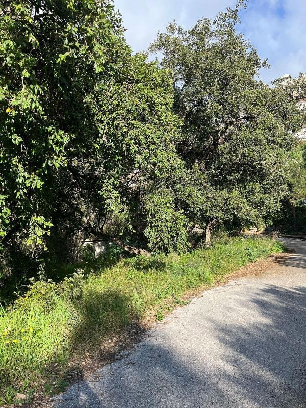  قطعة أرض في Marbella, Spain 1091متر مربع رقم 226676