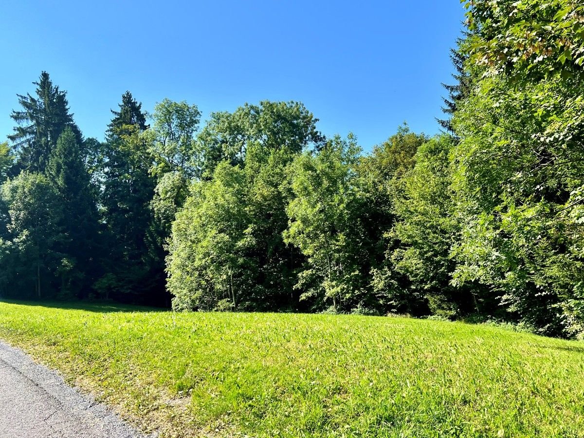 Terreno en Dornbirn, Austria No. 103118