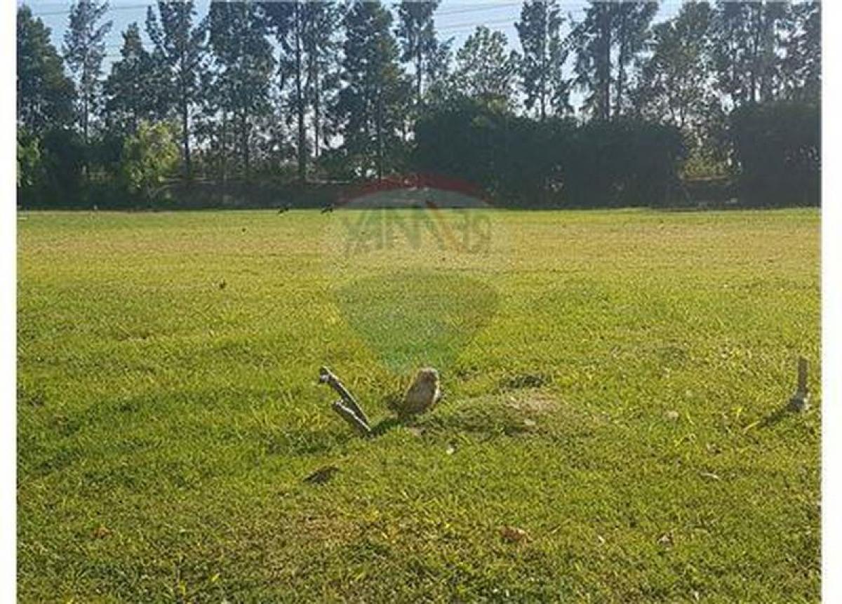  قطعة أرض في Tigre, Argentina رقم 41257