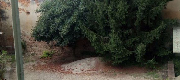 16غرفة منزل في Viarigi, Italy رقم 116156 18