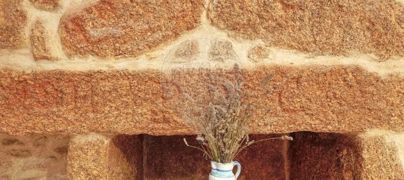 4 Schlafzimmer Haus in Vila Flor, Portugal, Nr. 175132 15