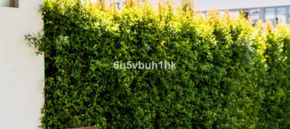 2 غرف نوم شقة في Estepona, Spain رقم 146705 14