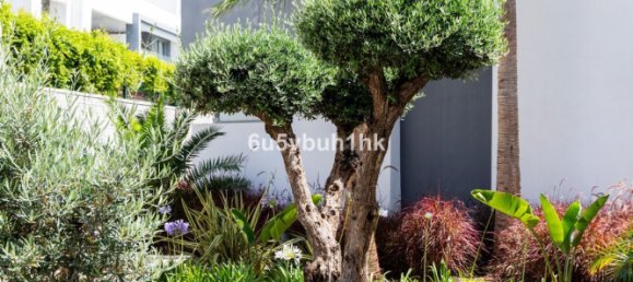 2 غرف نوم شقة في Estepona, Spain رقم 146705 3