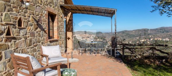 12 chambres Maison à Seggiano, Italy No. 57091 15