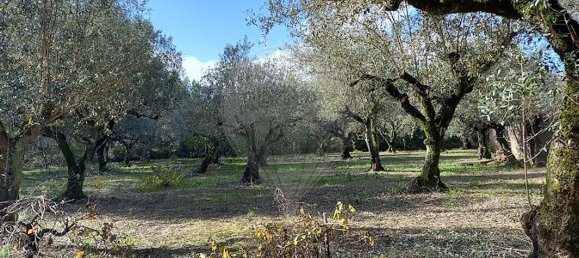 3 bedrooms House in Ferreira do Zezere, Portugal No. 17534 15