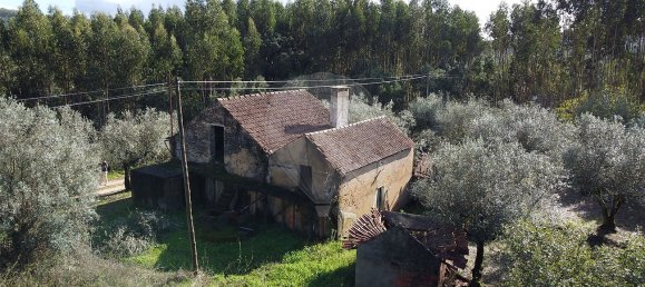 3 bedrooms House in Ferreira do Zezere, Portugal No. 17534 7