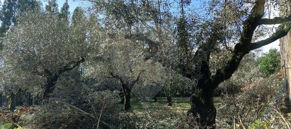 3 bedrooms House in Ferreira do Zezere, Portugal No. 17534 13