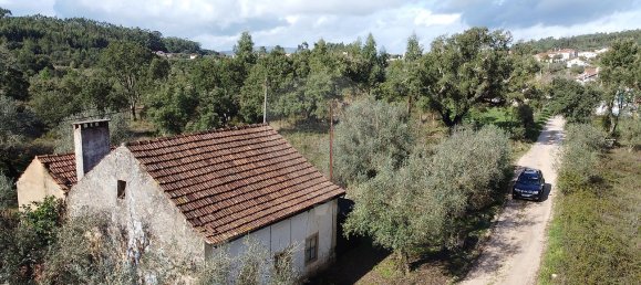 3 bedrooms House in Ferreira do Zezere, Portugal No. 17534 3