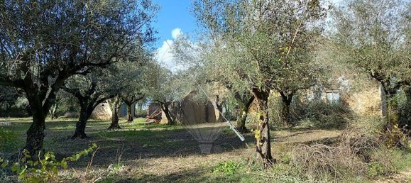 3 bedrooms House in Ferreira do Zezere, Portugal No. 17534 17