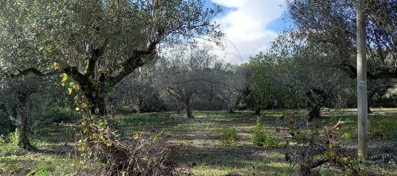 3 bedrooms House in Ferreira do Zezere, Portugal No. 17534 16