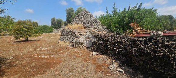 2-salle Maison à Martina Franca, Italy No. 315734 16